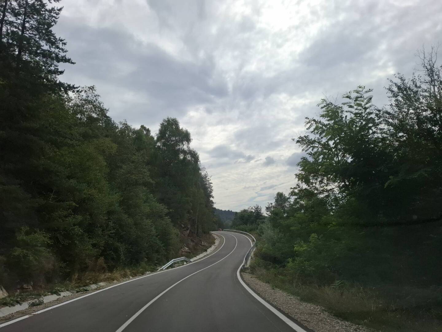 osina 3
